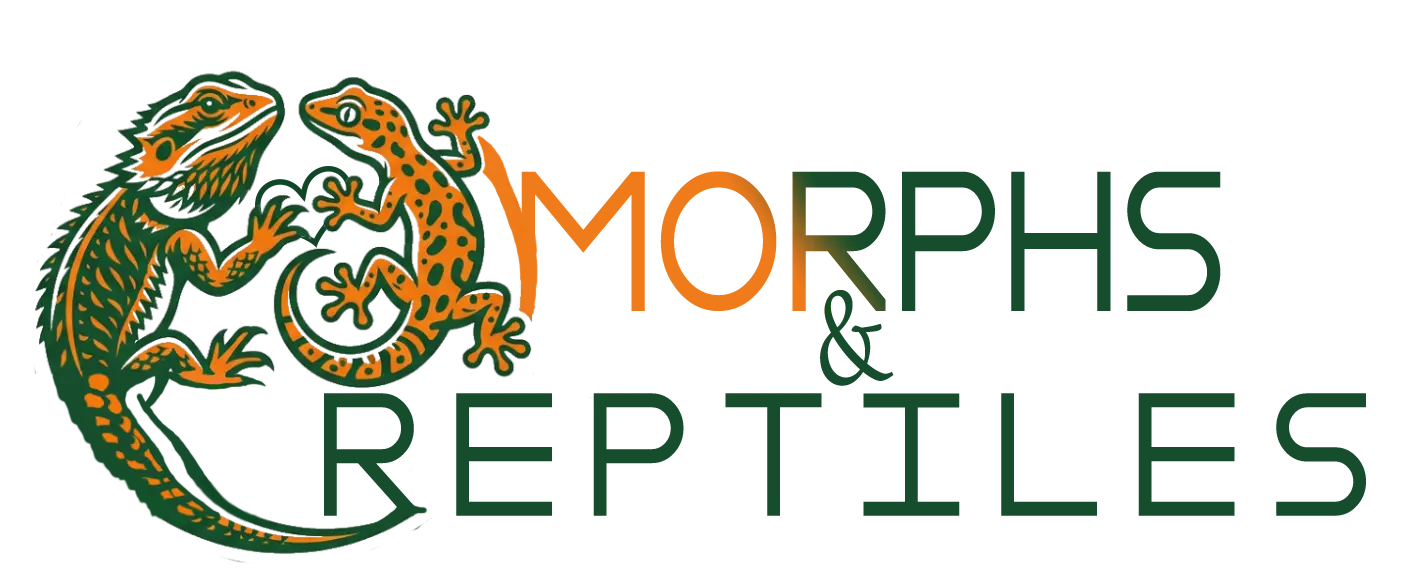 Morphs & Reptiles